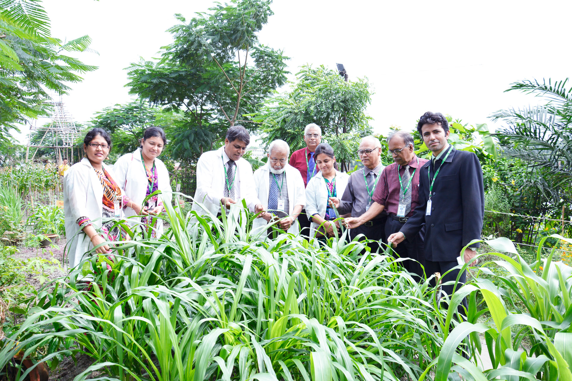 Agriculture students at work