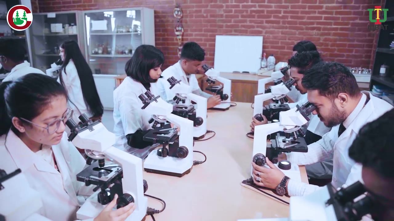 Microbiology practical