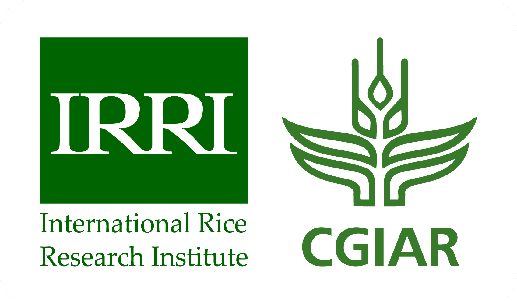International Rice Research Institute